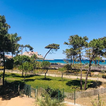 Appartement Les Carolines Calvi Esterno foto